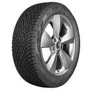 Шины Ikon Tyres Autograph Snow 5 215/55 R17 98R XL