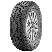 Шины Roadstone Winguard SUV 255/50 R19 107V XL